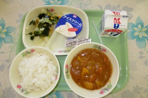 8月30日 カレーと海藻サラダ、アイスクリーム