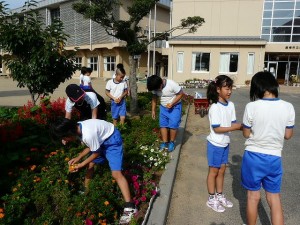 P1170253 朝の奉仕活動 4年生 花壇の花摘みをしました。\\