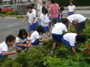 P1170406 朝の奉仕活動 1・6年生\