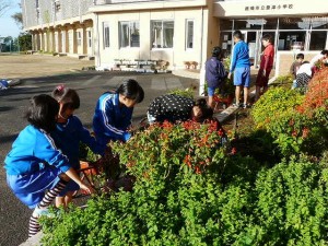 P1180651 花壇の模様替え作業