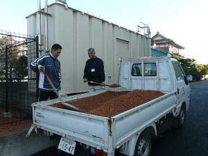 P1190350 花壇等に「かわらしき」(細かくくだかれたかわら)\