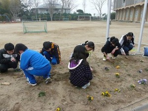 P1200203 5年生による奉仕活動 草抜き作業