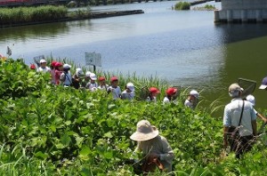 IMG_1689 3校時,いよいよ北浦に出発!\