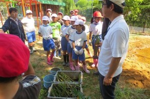 IMG_1710 5校時,いよいよビオトープに在来の水草を植えます。アサザ基金さんは,ショウブやアサザ,い草などたくさんの種類の水辺草を用意して下さいました。\