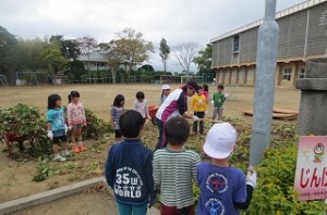 IMG_2286 まずはイモの蔓をみんなでとりました。一輪車に3倍分の蔓がありました。\