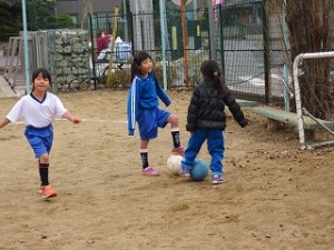 IMG_2831 IMG_2831