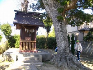 IMGP1251 ここで藤原鎌足が生まれたと伝えられています。\