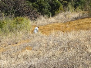 IMG_3515 地層の色の違うところの土を採取しています。\
