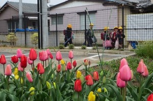 IMG_3708 登校してきた子どもたちを,チューリップ越しに撮りました。きちんと一列に並んでいます。偉いです。\