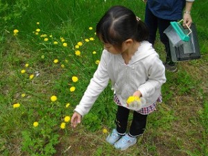 IMGP1316 きれいなお花を摘みました。\
