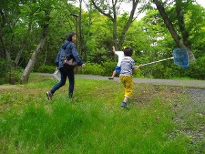 IMGP1324 何の虫を追いかけてるの!?\