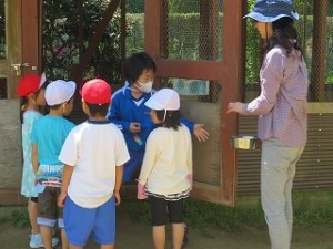 IMG_3881 今年も先生はIさんです。うさぎの抱き方を教えてくれました。\