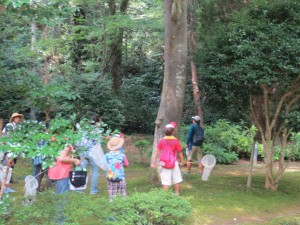 IMG_4396 この写真は,7月24日(金)PTA主催「アサザ基金さんと『神宮・谷津田』の散策!自然に親しもう!!」を行いました。写真は出発地点の御手洗です。\