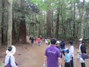 IMG_4408 「要石」に向かう道です。気持ちのよい散策です。\