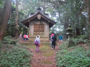 IMG_4415 「谷津田」に行く前,「坂戸神社」にお参りしました。\