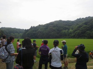 IMG_4421 こんなに開けたところに出ました。鹿嶋市とは思えない雄大さを感じる自然に圧倒されました。\