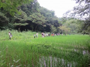 IMG_4426 手前の田は棚田です。ここは,野生の生き物の隠れ家のようです。\