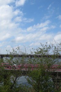 IMG_0013 ランチルームからの青空と神宮橋とバイパスの風景です。\