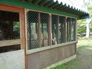 施工後\ うさぎ小屋施工後\