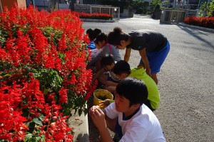 DSC02568 ⒍年生が花壇の草をぬいてくれました。\\
