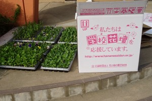 DSC02667 「花と緑の農芸財団」さんから頂きました。大切に育てます。ありがとうございました。\