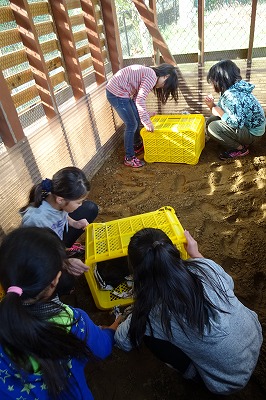 DSC03366 なかなか出てきません。「おい!大丈夫だよ。」「出ておいで」と子ども達は声かけをしてました。\