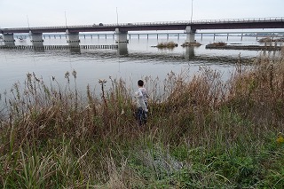DSC03656 「北浦・一の鳥居」クラブでは,投網をしました。今日もまた北浦とふれあいました。\