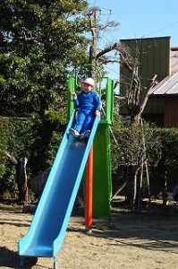 DSC03966 「撮ってぇ~」と言われて撮りました。\