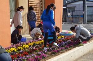 DSC04583 4・5年生が草抜きをしてくれました。\