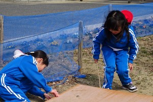 DSC04600 カワイイ1年生の女の子達です。〇〇君のために何かを探しているのだそうです。\