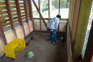 DSC05119 うさぎ小屋のおそうじもていねいに行ってくれています。\