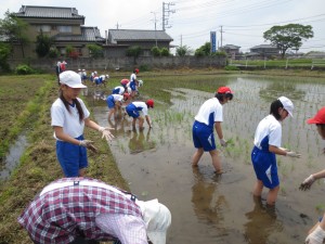IMG_0730 今年も、高安さんのご協力を得て実施いたしました。\\\\\