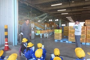 s-IMG_1254 3年生は、神栖の知手出荷場にいきました